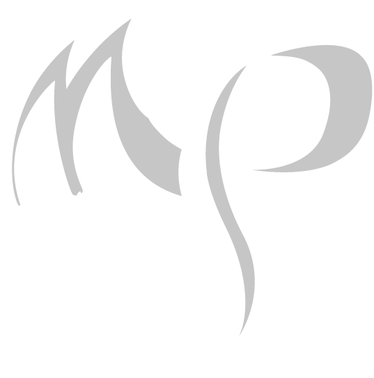 logo dragonstyle transparent